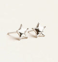 Western Edge - Lonestar Earrings